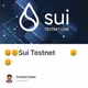 🤑🤑Sui Testnet Live🤑🤑