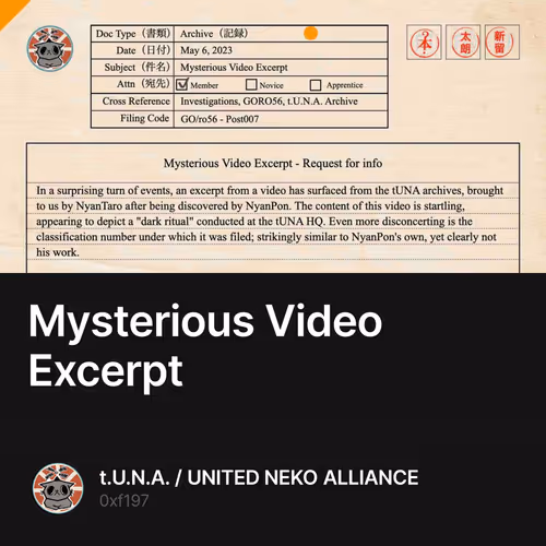 Mysterious Video Excerpt