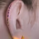 Ears