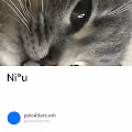 Ni°u