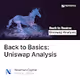 Back to Basics Uniswap Analysis