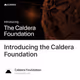 Introducing the Caldera Foundation