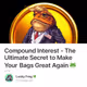 Compound Interest - The Ultimate Secret to Make Your Bags Great Again 🐸 💰
