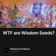 WTF are Wisdom Seeds?