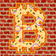 Bitcoin Pizza Day
