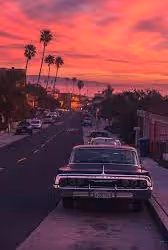 项目媒体占位符