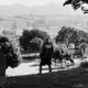 Pathetique waltz