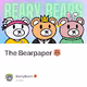The Bearpaper 🐻