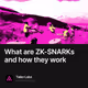 What are ZK-SNARKs and how they work