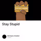 Stay Stupid