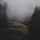 Fog