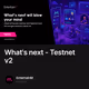 What's next - Testnet v2