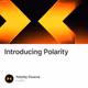 Introducing Polarity