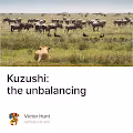 Kuzushi the unbalancing
