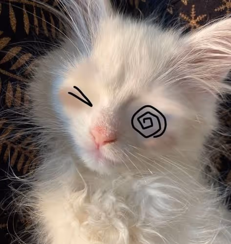 0x3ae3e5064a769237f257d7564851eeeec9dddc00