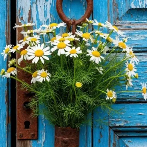 door