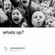 whats up?