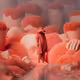 Multichain by LNRZ: Another Life/Kill Me Off