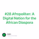 #28 Afropolitan: A Digital Nation for the African Diaspora