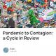 Pandemic to Contagion a Cycle in Review