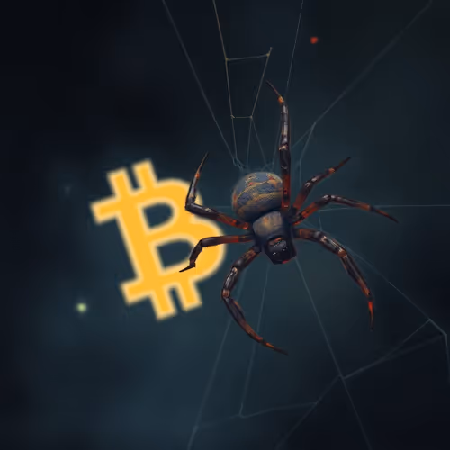 Bitcatch