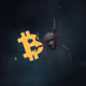 Bitcatch