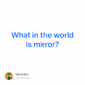 What in the world is mirror