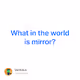 What in the world is mirror