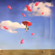 Whimsical journey