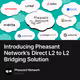 Introducing Pheasant Network’s Direct L2 to L2 Bridging Solution