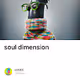 soul dimension V2