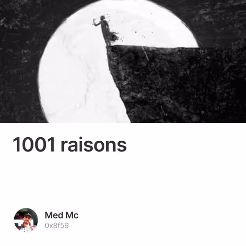 1001 raisons