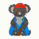 Happy koala