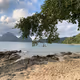 Island life