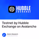 Testnet by Hubble Exchange on Avalanche