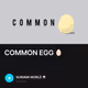 COMMON EGG 🥚