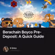 Berachain Boyco Pre-Deposit: A Quick Guide