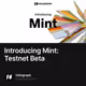 Introducing Mint: Testnet Beta