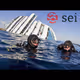 SEI Airdrop ! 5000 tokens Loterry
