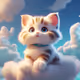 Cuite cat