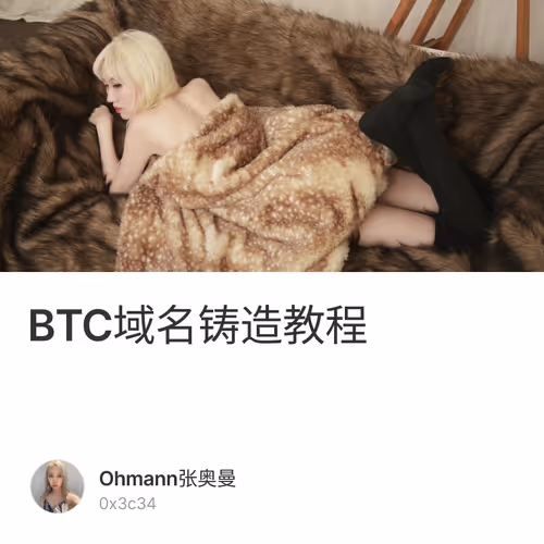 BTC域名铸造教程