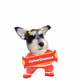 dog - OiyqqEBQxZ