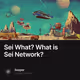 Sei What What is Sei Network