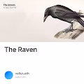 The Raven V3