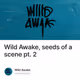 Wild Awake, seeds of a scene pt. 2