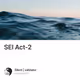 SEI Act-2
