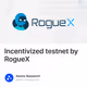 Incentivized testnet by RogueX