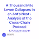 A Thousand Mile Levee Collapses in an Ants Nest - Analysis of the Cross-Chain Protocol Nom