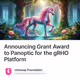Announcing Grant Award to Panoptic for the gRHO Platform