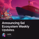 Announcing Sei Ecosystem Weekly Updates